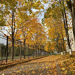 Осенние краски города — Краснознаменск