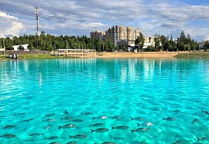 Когда добавил в озеро коагулянта для чистки бассей