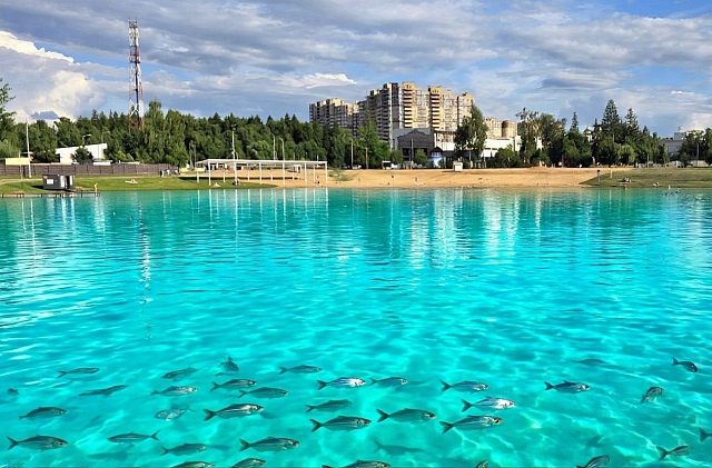 Когда добавил в озеро коагулянта для чистки бассей