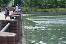 Купальный сезон открыт