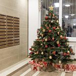 Штраф до 15 000 рублей грозит за установку новогодней ёлки в подъезде