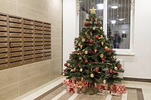 Штраф до 15 000 рублей грозит за установку новогодней ёлки в подъезде