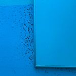 Толпы людей дышат черной плесенью на КПП