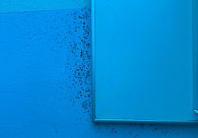 Толпы людей дышат черной плесенью на КПП