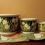 Продаются цветочные, керамические горшки,цветы. — Краснознаменск