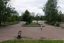 Костры и непотребства в парке, напомнили легендарную «Пэшку».