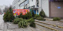 У Городского рынка открылся ёлочный базар!