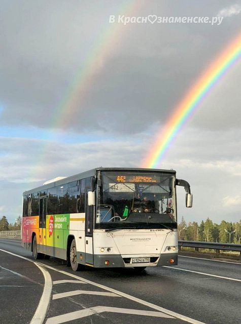 Автобус привез радугу