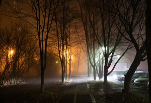 Город в тумане