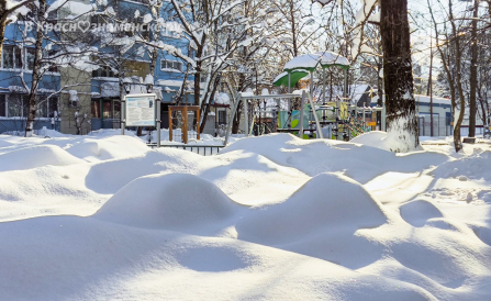 Снежная зима