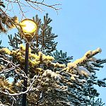 Утренняя прогулка по снежному городу