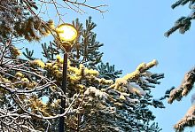 Утренняя прогулка по снежному городу