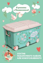 В Московской области при рождении ребенка родители могут получить подарочный набор «Я родился в Подмосковье!»