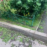 На клумбе по адресу Гагарина 13А скосили цветы 