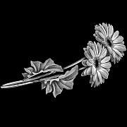 Гравировка Цветок