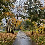 Прогулка по пасмурным улицам города — Краснознаменск