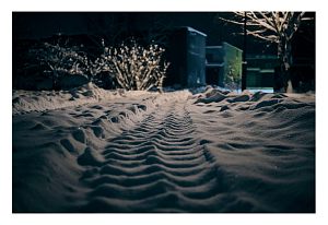 Таинственная колеяНочь | Зима 26Гаражный коопе