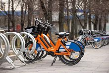 Что думаете насчет аренды велосипедов в городе?