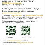 В Подмосковье запущена онлайн-регистрация домашних животных