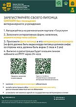 В Подмосковье запущена онлайн-регистрация домашних животных