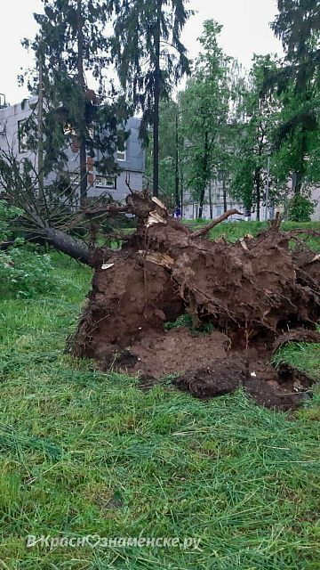 Последствия сильного дождя 10 июня 2020 г.