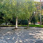 У Гимназии №2 убрали дугообразную лавочку