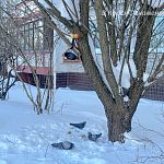 Прогулка по городу