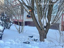 Прогулка по городу