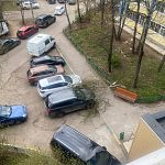 ул. Проспект Мира 10, ветки упали на припаркованные  автомобили