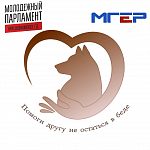 Помощь приюту для бездомных собак 
