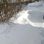 Гагарина 9а дворник не чистит пешеходные дорожки