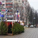 Ёлочный базар у центрального рынка