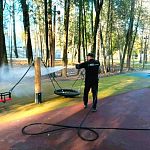 Сегодня в Беличьем парке настоящий «банный день»!  — Краснознаменск