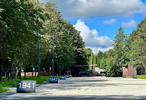Краснознаменск под сладкой ватой облаков