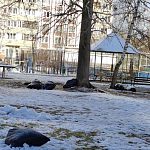 БОЛЬШОЕ СПАСИБО всем сотрудникам предприятий жилищно-коммунальной сферы