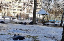 БОЛЬШОЕ СПАСИБО всем сотрудникам предприятий жилищно-коммунальной сферы