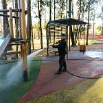 Сегодня в Беличьем парке настоящий «банный день»!  — Краснознаменск