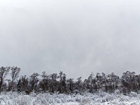 Коммерческая фотография — Краснознаменск