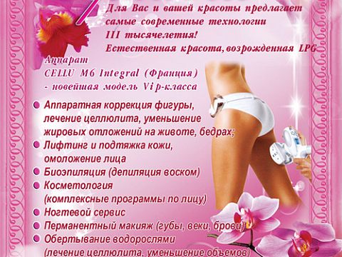 Орхидея — Краснознаменск