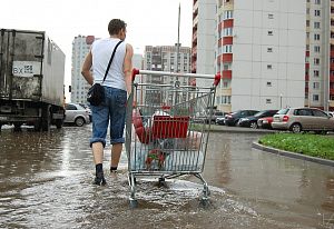 Много лет назад, решили с товарищем довести тележк