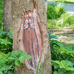 Художественные акценты на деревьях в Беличьем парке, создающие особую атмосферу уюта
