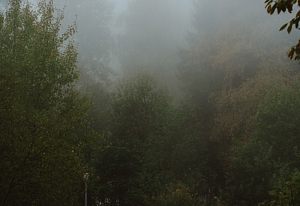 Осенний парк