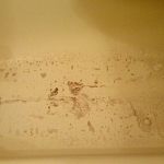 19 февраля появились многочисленные жалобы на качество воды