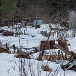 Остатки огородов в Городском парке ликвидируют