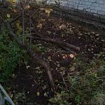 ВАНДАЛИЗМ или благоустройство?