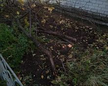 ВАНДАЛИЗМ или благоустройство?