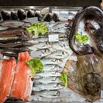 Рыбные магазины в городе 