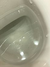 Мира 14. Последние 5 лет у нас с холодной водой беда