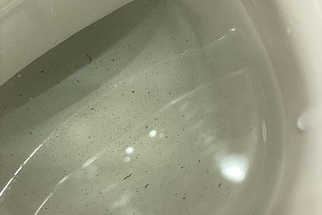 Мира 14. Последние 5 лет у нас с холодной водой беда