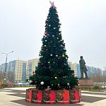 Ёлочки уже украсили городские улицы, радуя сердца и глаза прохожих